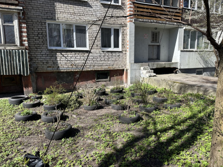 Б/у покрышки во дворе (фото)