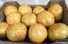 Досмотрено около 450 тонн растительной продукции при ввозе из Китая