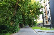 565A0088.JPG