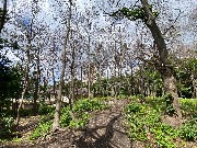 IMG_2302.JPG