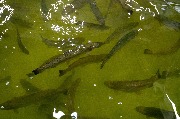 DSC_7382.jpg