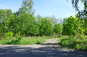 565A3892.JPG