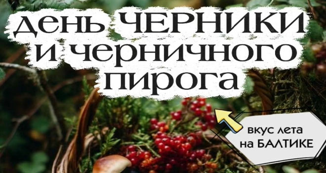 День черники и черничного пирога (0+)