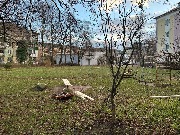 photo_2026-01-01 13.18.57.jpeg