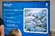 P1090531.jpg