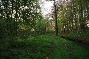 565A8823.JPG