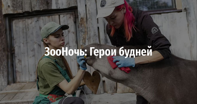 Зооночь: герои будней! (0+)