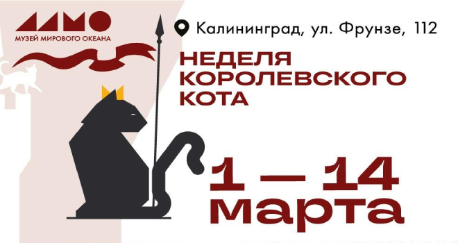 Неделя королевского кота (0+)