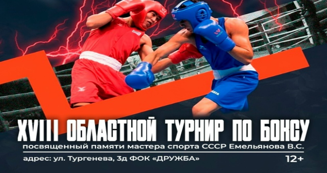 XVIII областной турнир по боксу (12+)