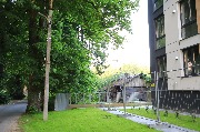 565A0109.JPG