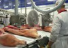 ГК «Черкизово» откроет производство с общим объемом инвестиций 440 млн руб.