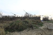 565A8696.JPG
