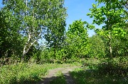 565A3914.JPG