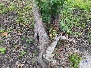 IMG_2307.JPG