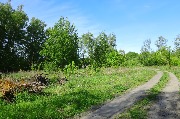 565A3905.JPG