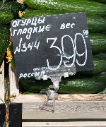 image-16-02-26-07-56-2