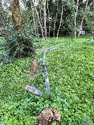 image-14-08-25-08-05