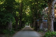 565A0044.JPG