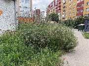 image-01-08-25-05-45-9
