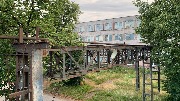 IMG_9551.JPG