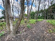 IMG_2308.JPG