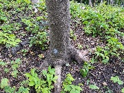 IMG_2304.JPG