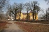 Компании «Грандстрой» дали зеленый свет на вырубку деревьев в Ялтинском парке