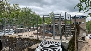 IMG_8766.JPG