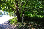 565A9346-1.jpg