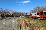 565A8479.JPG