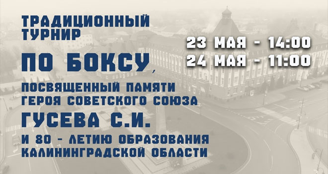 Традиционный турнир по боксу памяти Героя Советского Союза С.И. Гусева (0+)