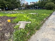 image-14-08-25-08-05-4