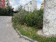 image-01-08-25-05-45-5