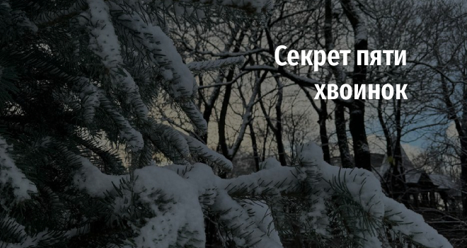 Экскурсия «Секрет пяти хвоинок» (12+)