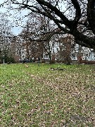 photo_2025-12-22 12.41.37.jpeg