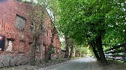IMG_3525.jpg