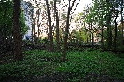 565A8831.JPG
