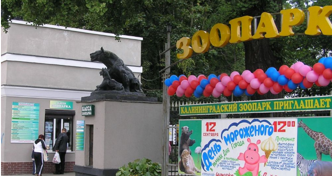 «Без решеток и плакатов»: как может измениться калининградский зоопарк в 2015 году