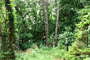 565A9653.JPG