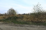 565A8744.JPG