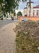 image-15-06-23-10-52-2