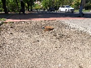 IMG_0681.JPG