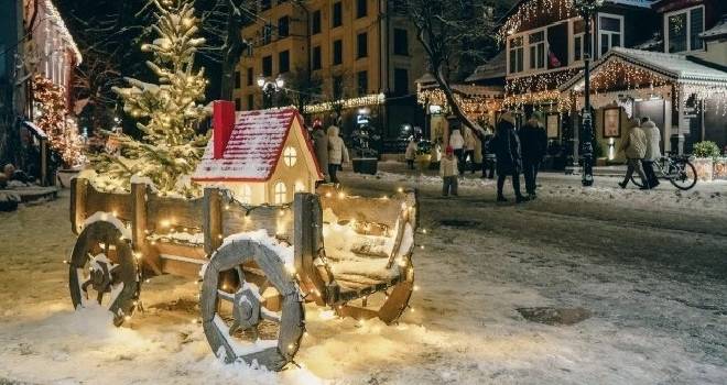 Повторно высаженные осенью елки в центре Читы снова умерли