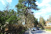 565A8388.JPG