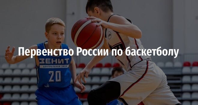 Первенство России по баскетболу (0+)
