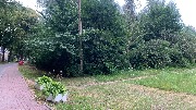 IMG_5366 янтарный, общепит, козорезов (1).JPG