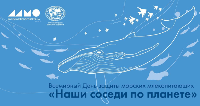 День защиты морских млекопитающих (6+)
