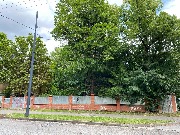 IMG_2550.JPG