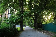 565A0124.JPG