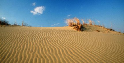 Фотоконкурс: «Куршская коса в движении»